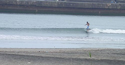 140703taito1230-5.jpg